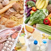 Classifying Food Substances